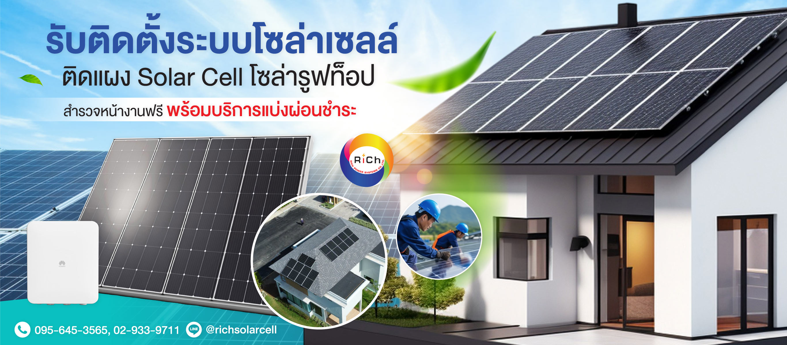 -ริชโซล่าเซลล์-(Y01300)